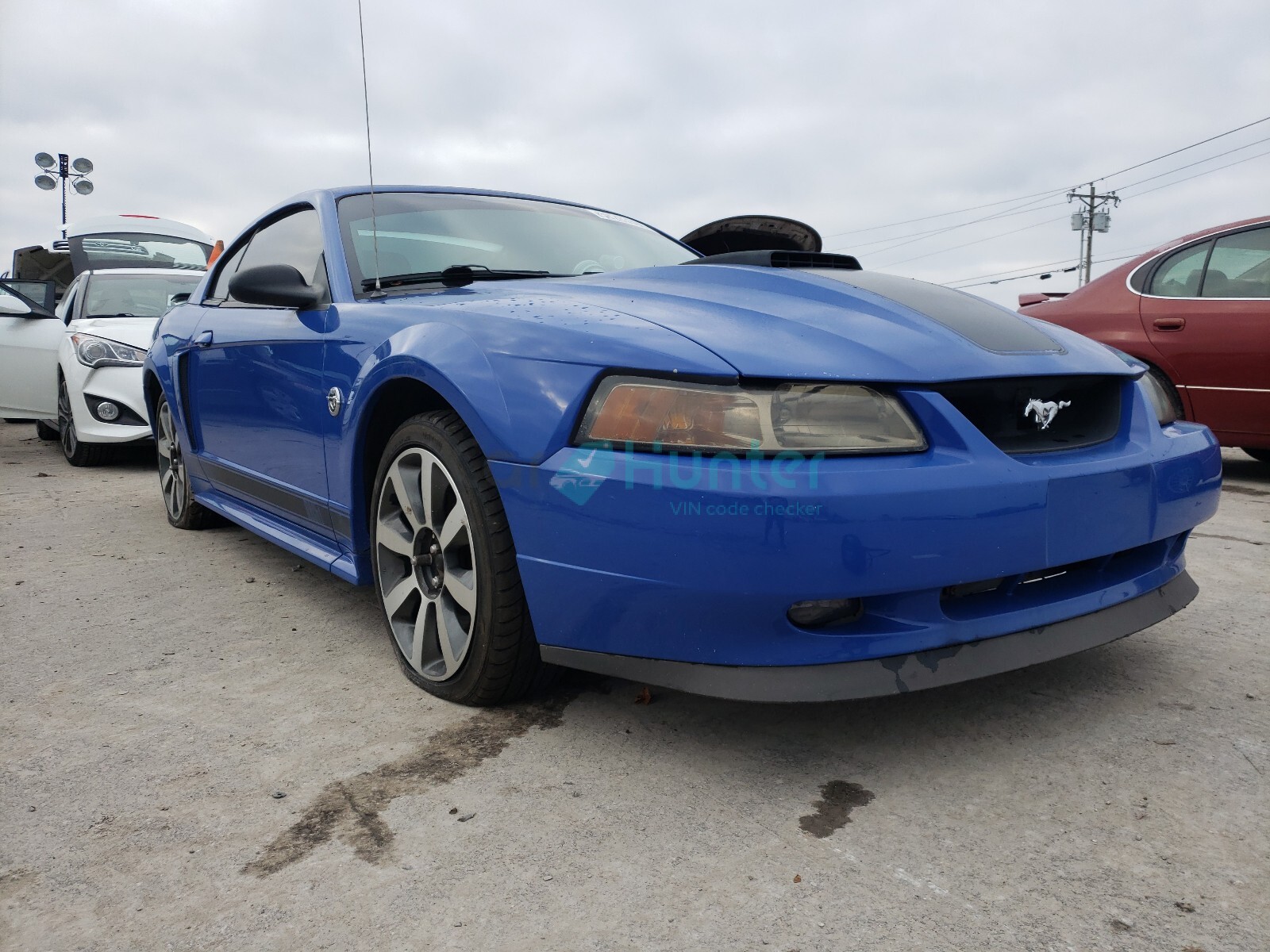 ford mustang ma 2004 1fafp42r64f135758