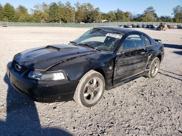 ford mustang gt 2004 1fafp42x64f128775