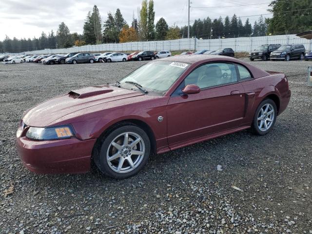 ford mustang gt 2004 1fafp42x64f156088