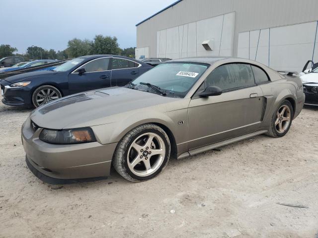 ford mustang gt 2001 1fafp42x81f232678