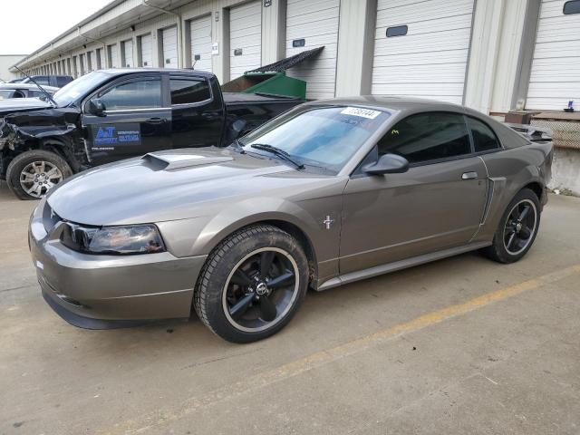 ford mustang gt 2002 1fafp42x82f173116