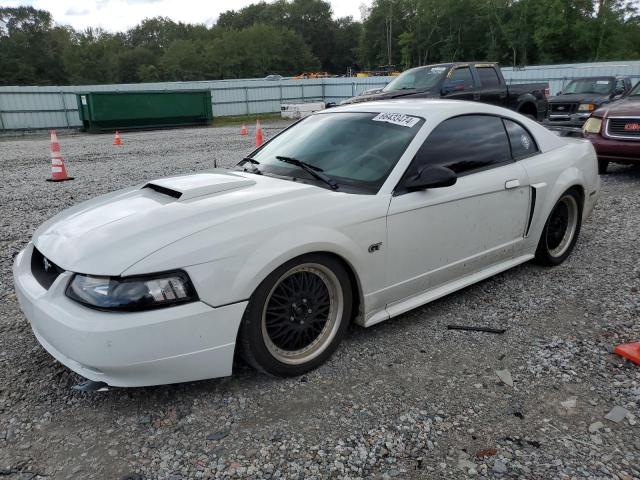 ford mustang gt 2003 1fafp42x83f347493