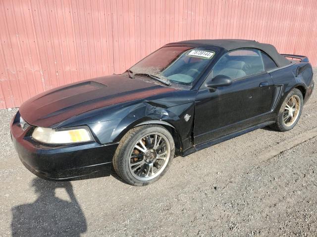 ford mustang 1999 1fafp4446xf149732