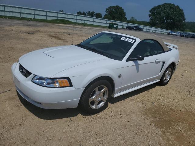 ford mustang 2004 1fafp44484f102486