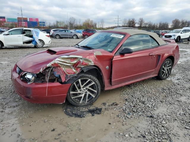 ford mustang 2004 1fafp44624f213844