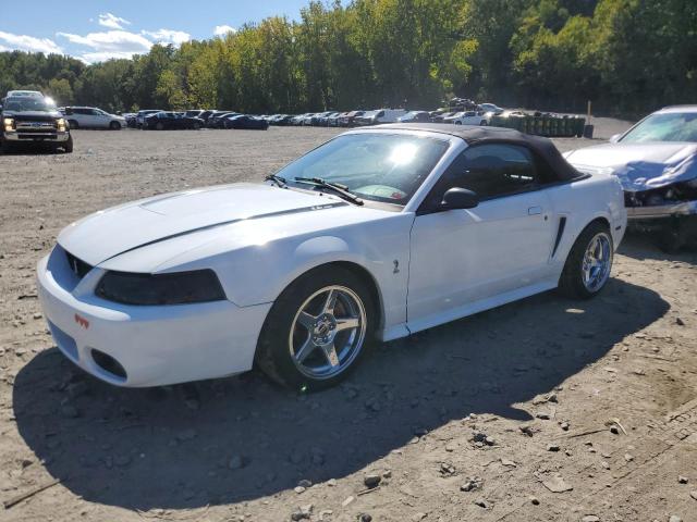 ford mustang co 2001 1fafp46v41f206328