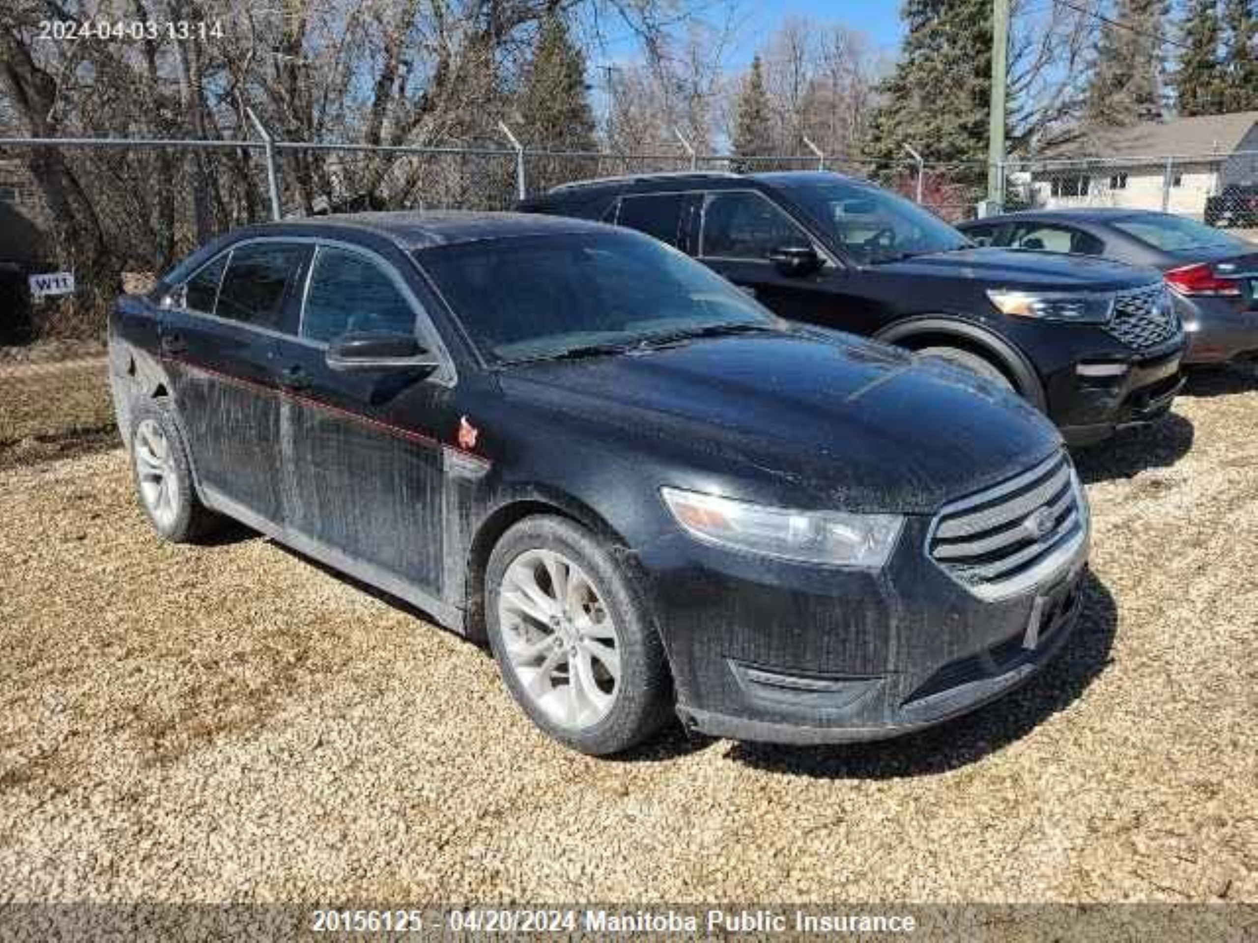 ford taurus 2013 1fahp2h86dg115466