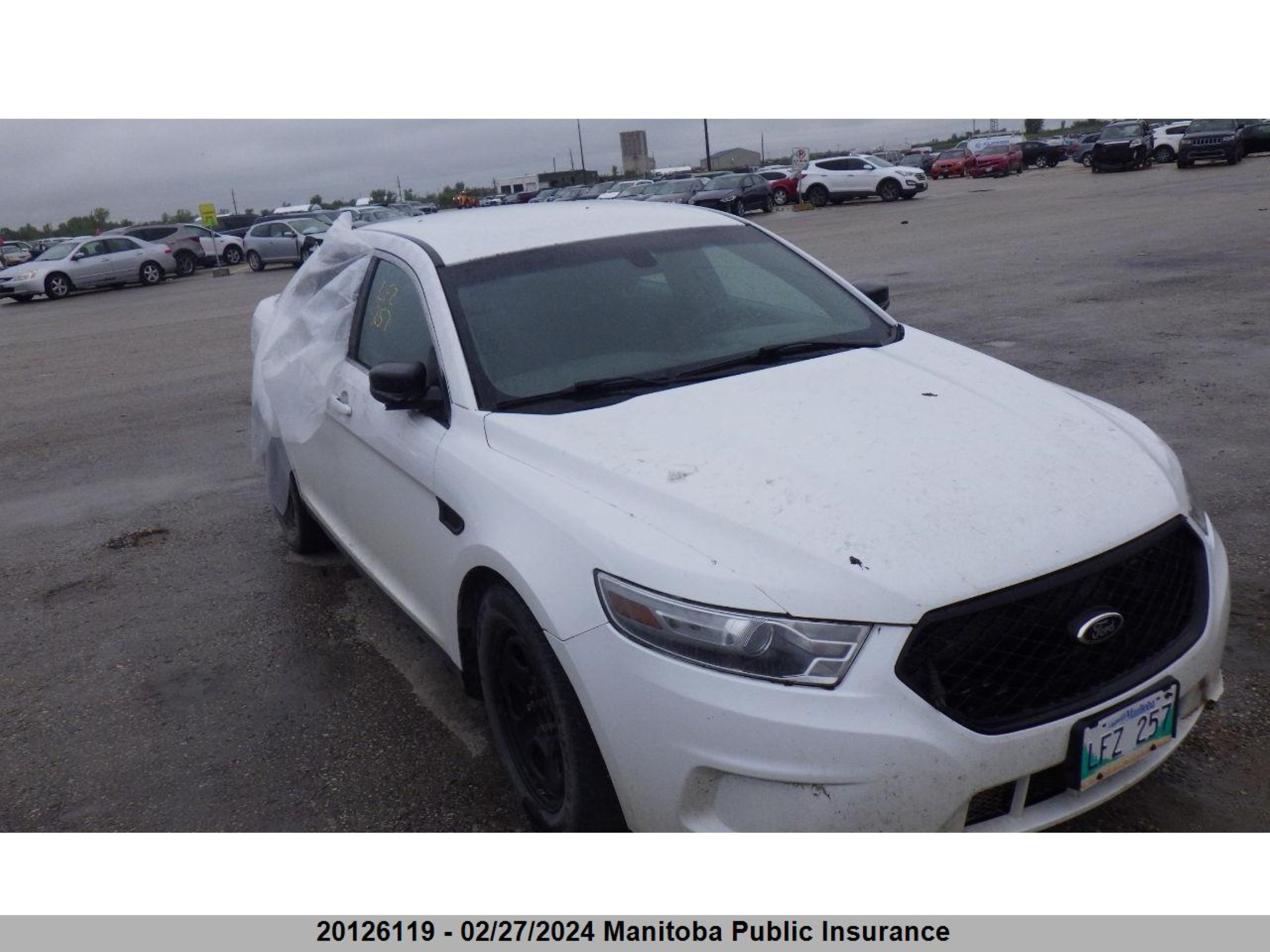 ford  2013 1fahp2m88dg113904