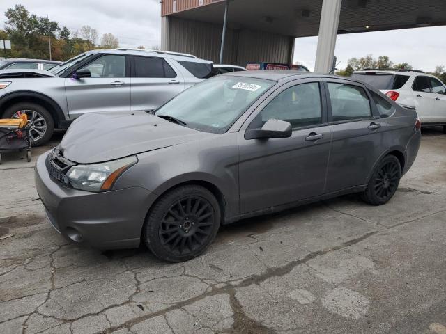 ford focus ses 2010 1fahp3gn2aw224800