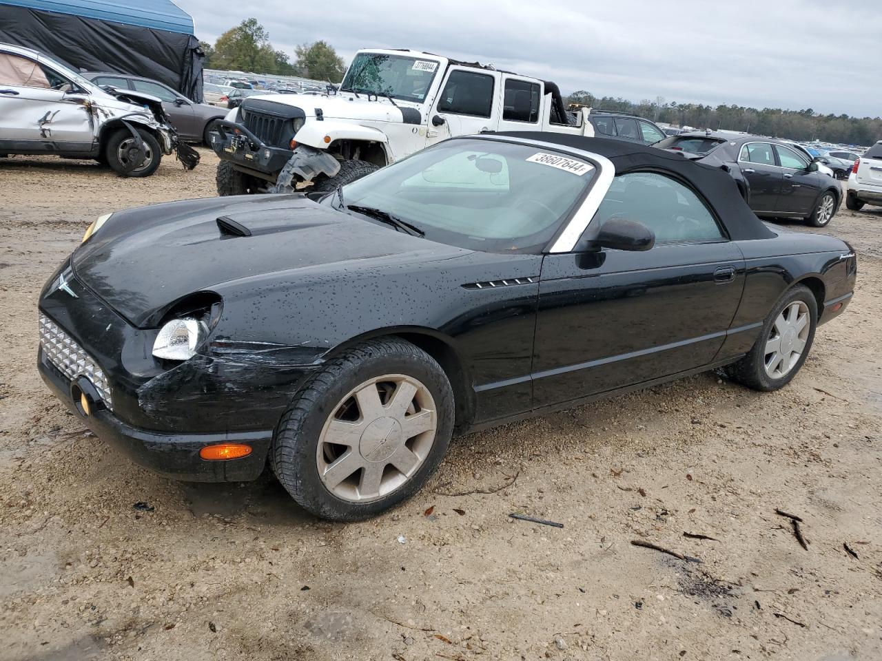 ford thunderbird 2002 1fahp60a02y119056