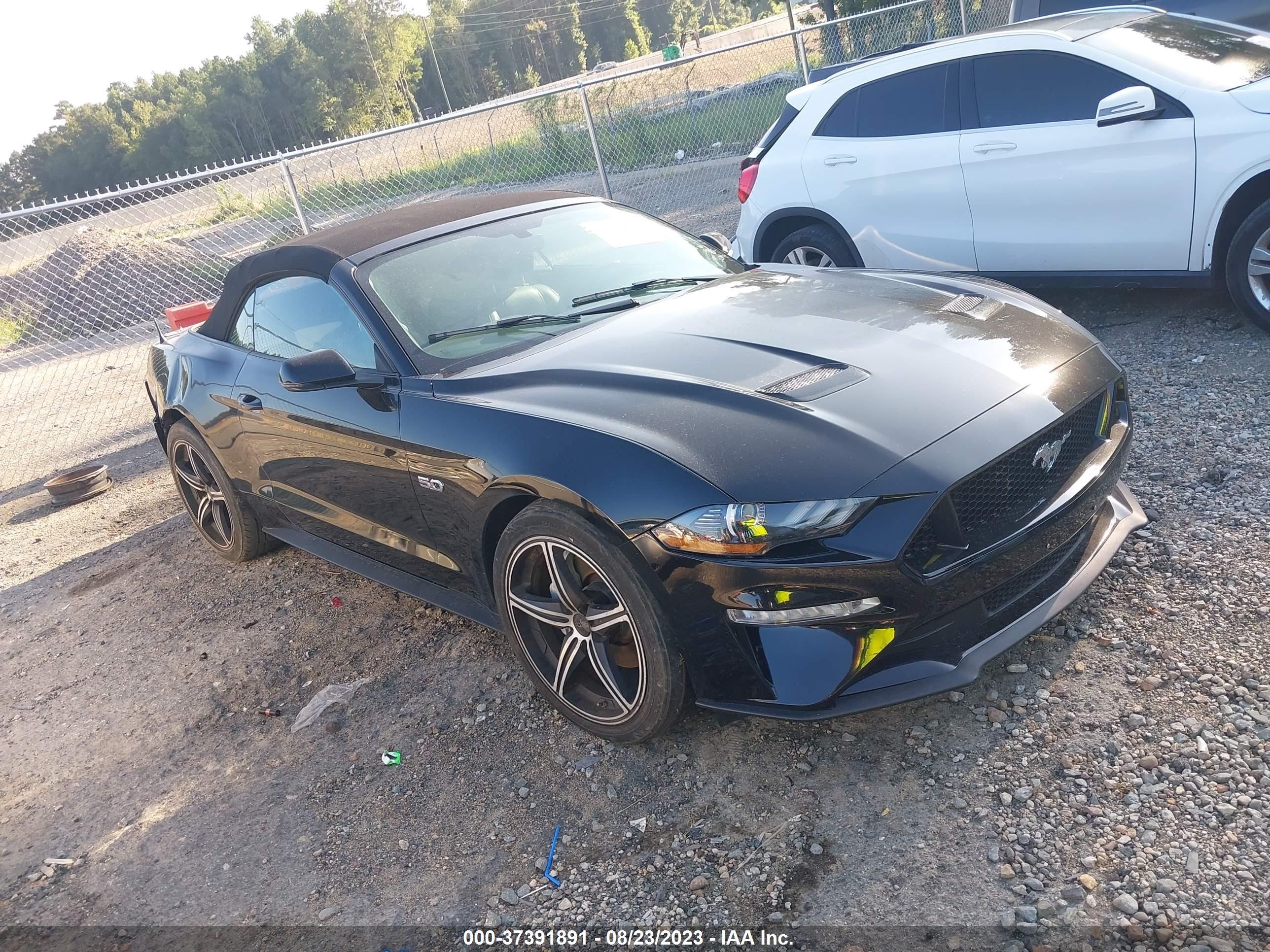 ford mustang 2019 1fatp8ff2k5182931