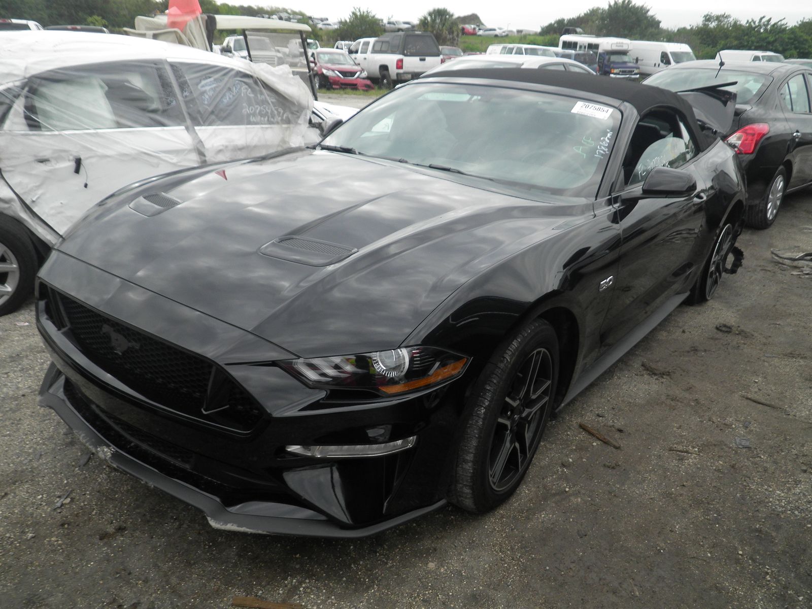 ford mustang v8 cnv 2020 1fatp8ff9l5130990