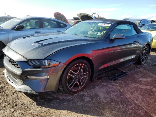 ford mustang 2019 1fatp8uh0k5158566