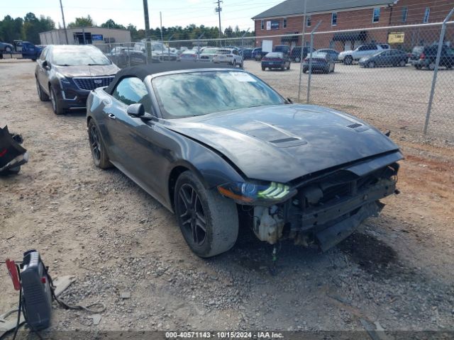 ford mustang 2019 1fatp8uh2k5181668