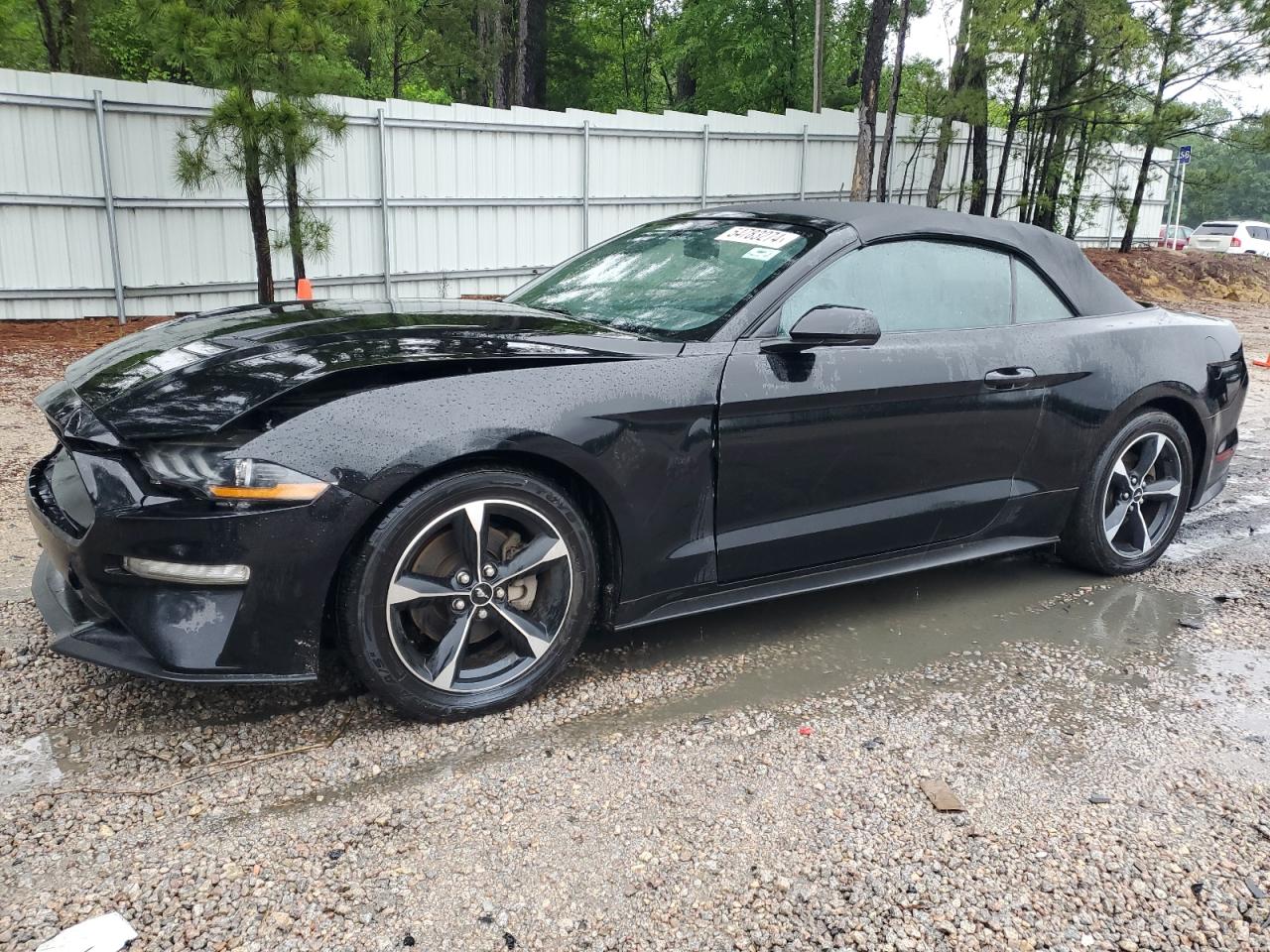 ford mustang 2019 1fatp8uh3k5205198