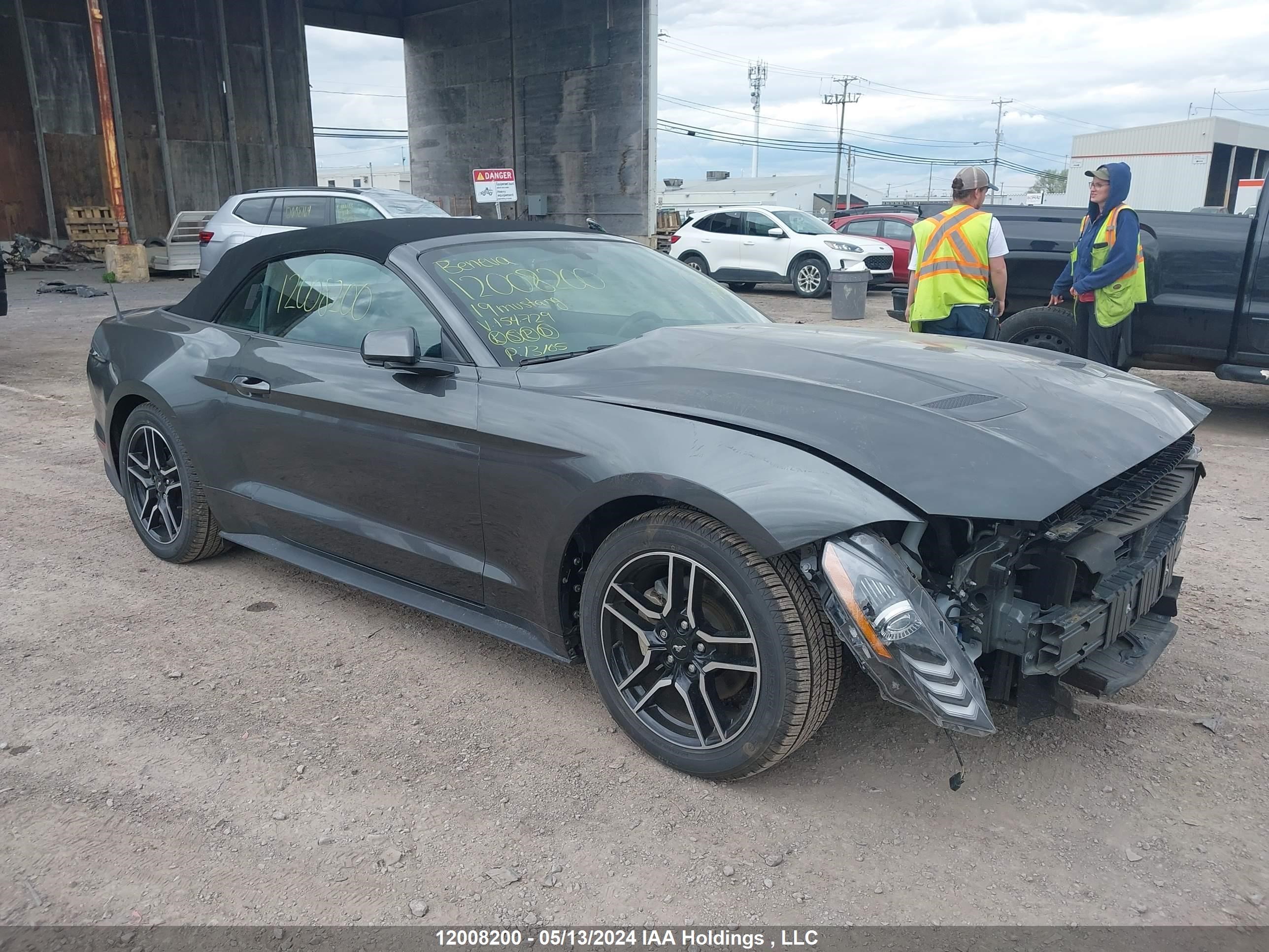 ford mustang 2019 1fatp8uh4k5154729