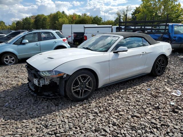 ford mustang 2019 1fatp8uh6k5148737