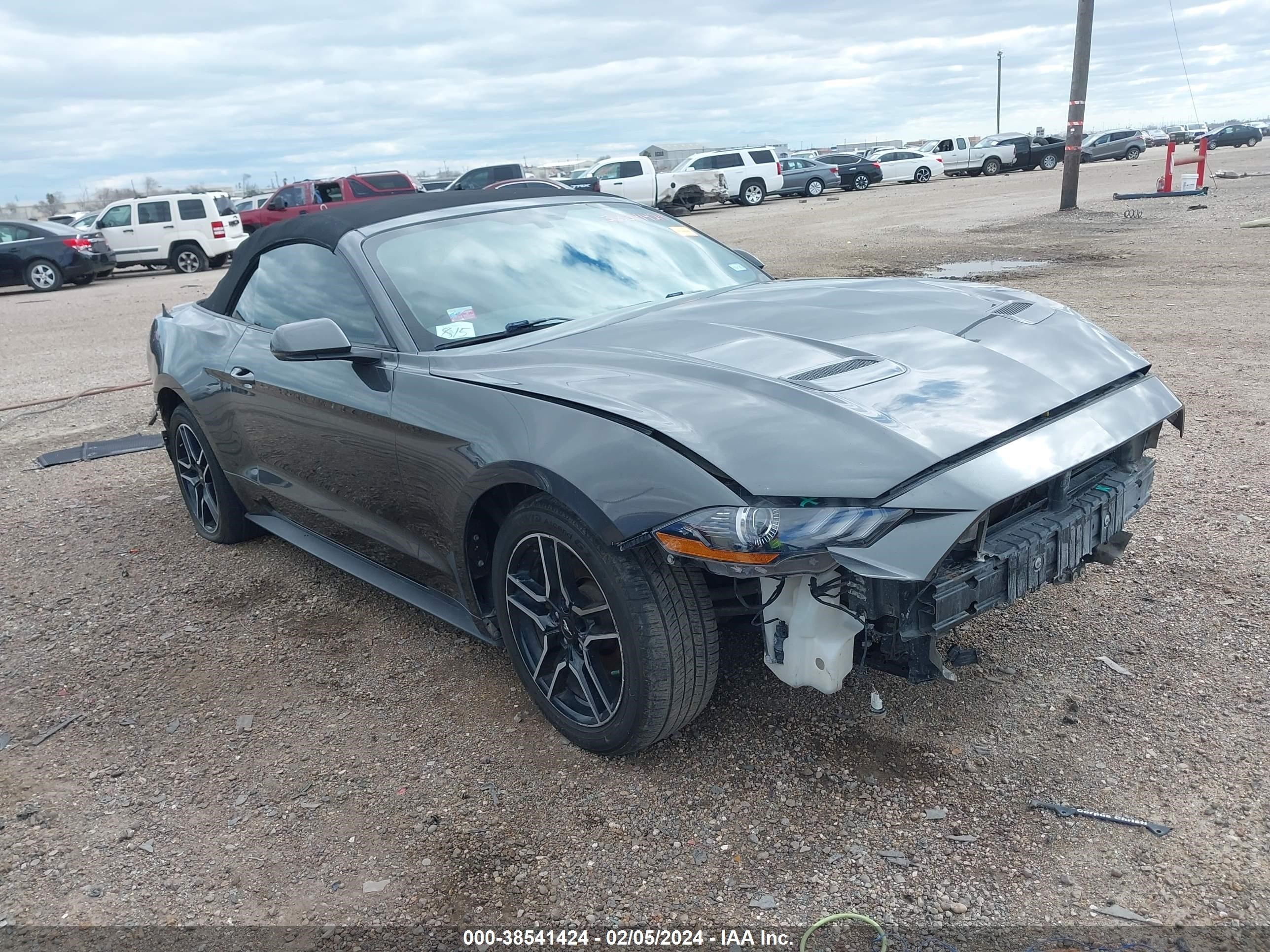 ford mustang 2019 1fatp8uh7k5149394