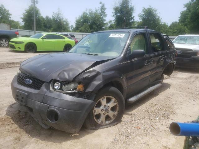 ford escape 2006 1fmcu03176kc25191