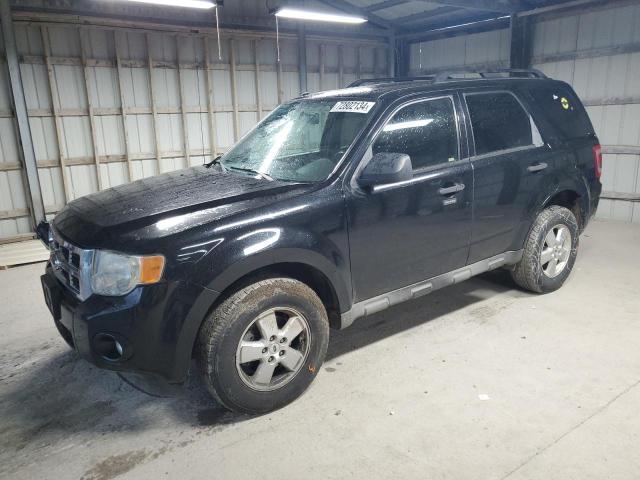 ford escape xlt 2009 1fmcu03729ka29362