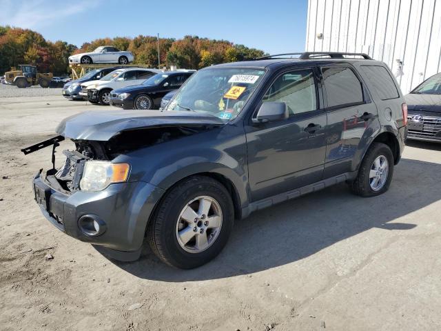 ford escape xlt 2009 1fmcu03739ka06981