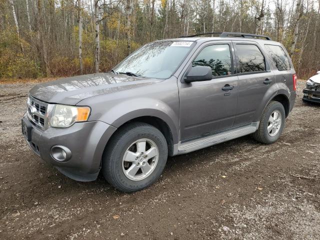 ford escape xlt 2009 1fmcu03759kb91163