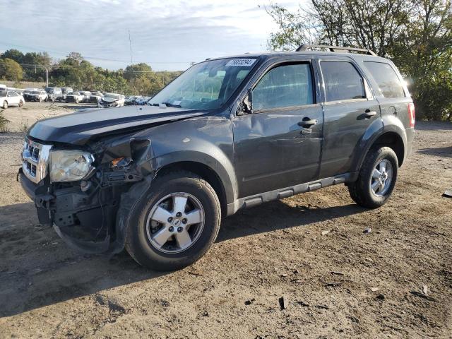 ford escape xlt 2009 1fmcu03g69ka57570