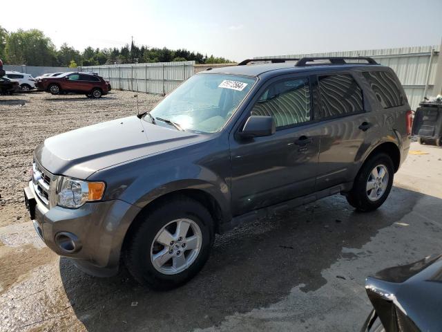 ford escape xlt 2009 1fmcu03gx9ka18304