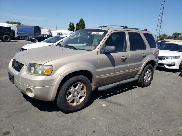 ford escape 2007 1fmcu04107kb09041