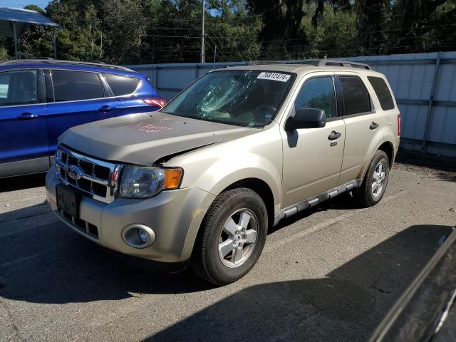 ford escape xlt 2010 1fmcu0d70aka44171