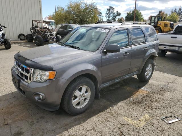 ford escape xlt 2011 1fmcu0d70bka44608