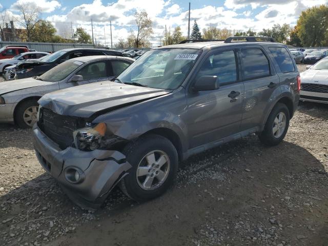 ford escape xlt 2010 1fmcu0d71akb80809