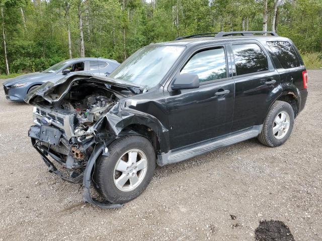 ford escape xlt 2011 1fmcu0d71bkb93612