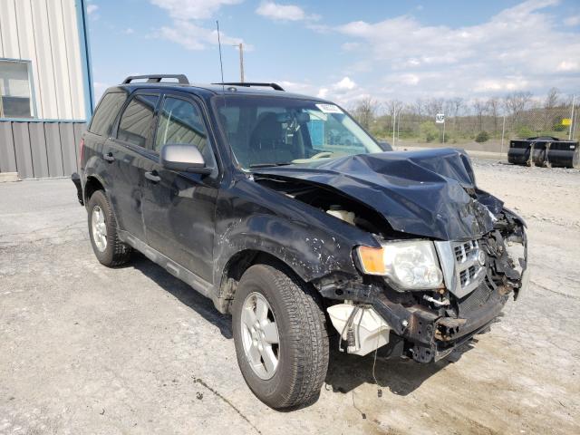 ford escape xlt 2010 1fmcu0d72akb11840