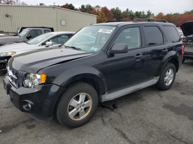 ford escape xlt 2011 1fmcu0d72bka66495