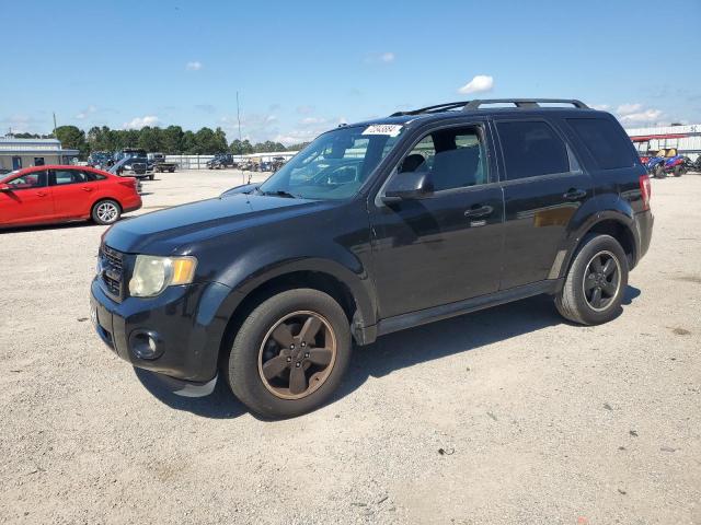 ford escape xlt 2011 1fmcu0d72bkc09039