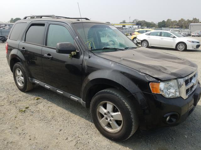 ford escape xlt 2011 1fmcu0d73bka46921