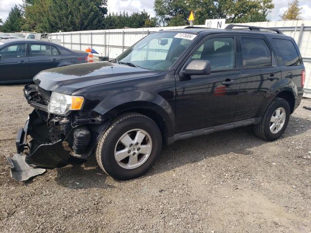 ford escape xlt 2011 1fmcu0d73bkb01075