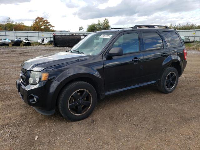 ford escape xlt 2011 1fmcu0d73bkb96625