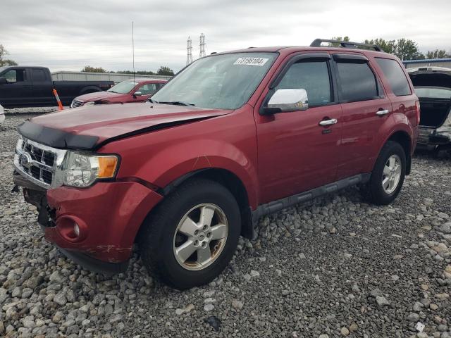 ford escape xlt 2012 1fmcu0d73cka48427