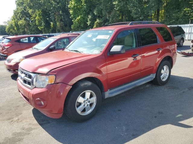 ford escape xlt 2012 1fmcu0d73ckb05516