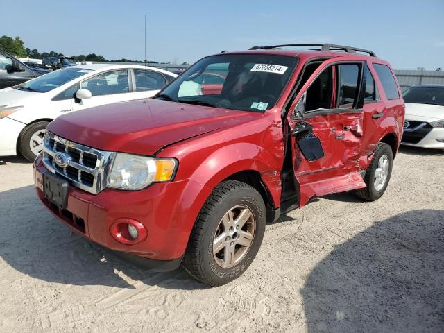 ford escape xlt 2011 1fmcu0d75bkc41421