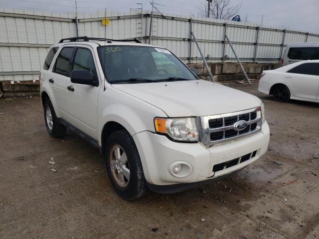 ford escape xlt 2011 1fmcu0d76bkb06531