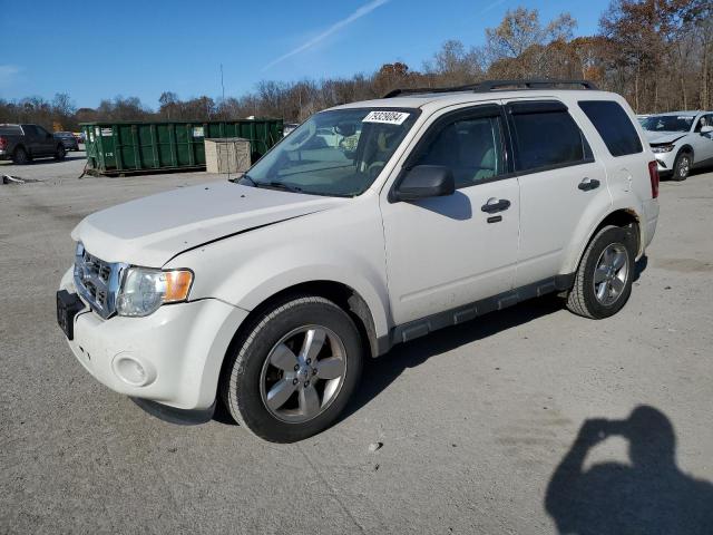 ford escape xlt 2011 1fmcu0d76bkb38833