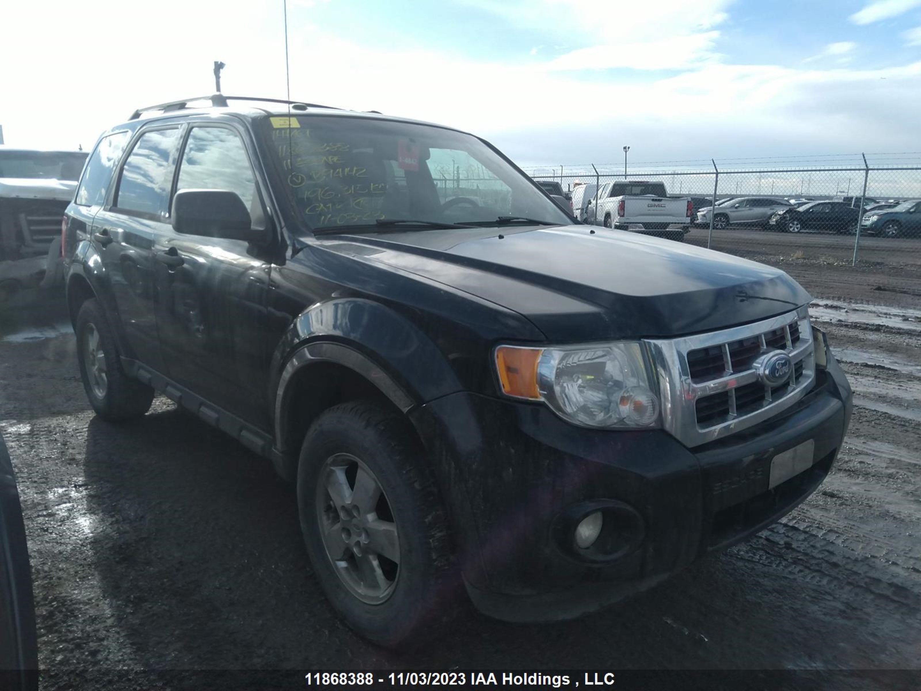 ford escape 2011 1fmcu0d76bkb94142