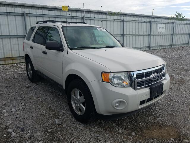 ford escape xlt 2010 1fmcu0d77akd38733