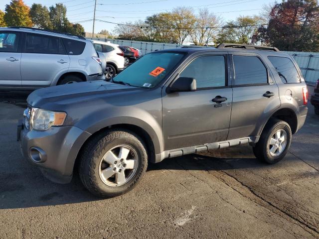 ford escape xlt 2011 1fmcu0d77bkb38940