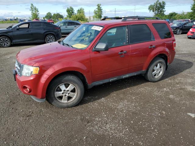 ford escape xlt 2011 1fmcu0d7xbka29386