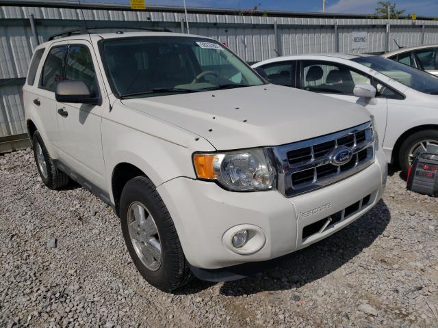 ford escape xlt 2011 1fmcu0d7xbka48844