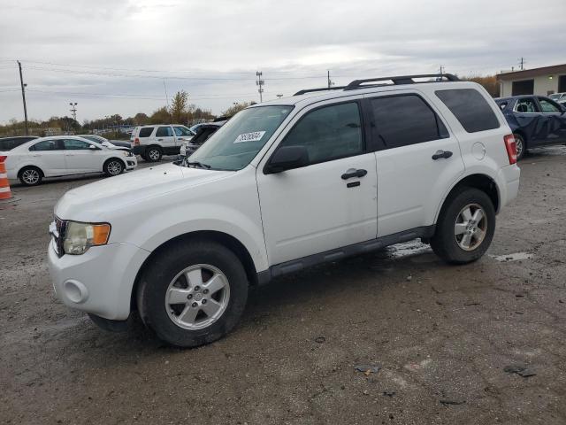 ford escape xlt 2011 1fmcu0d7xbkb47454